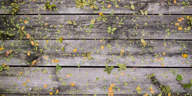 Allen Almonds13:重新定义健康零食,开启营养饮食新篇章