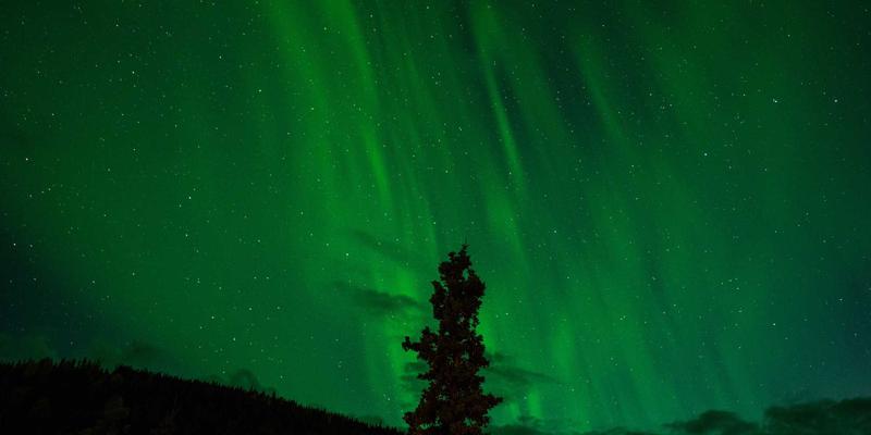 Allen Almonds27：重新定义杏仁零食的健康与美味新标准