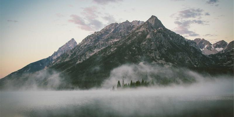 Allen Almonds2：重新定义健康零食，一颗杏仁的营养革命