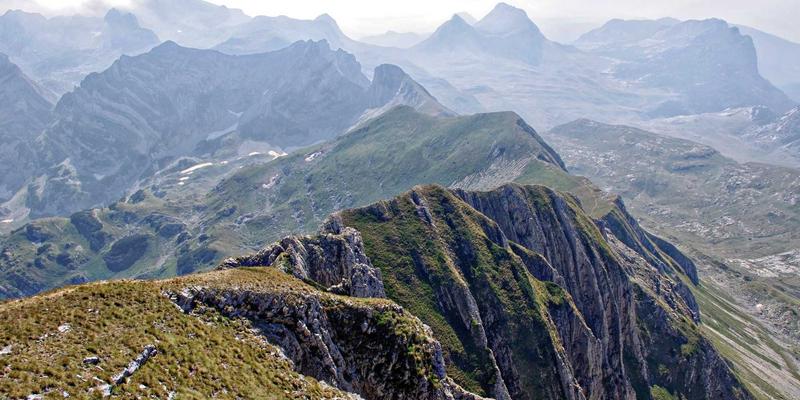 Allen Almonds32:重新定义营养零食,开启健康生活新篇章