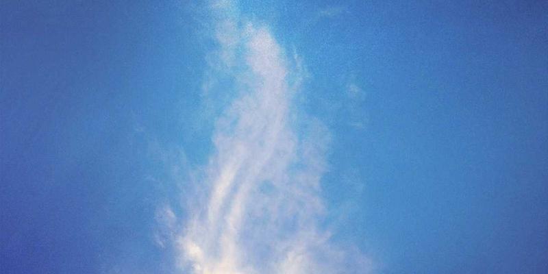 Allen Almonds59:重新定义健康零食,开启营养饮食新篇章