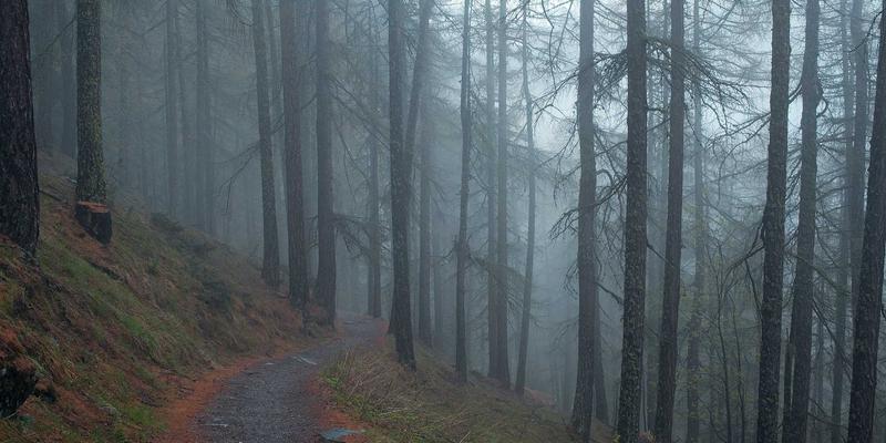 Allen Almonds87:重新定义营养零食,探索杏仁的健康魅力