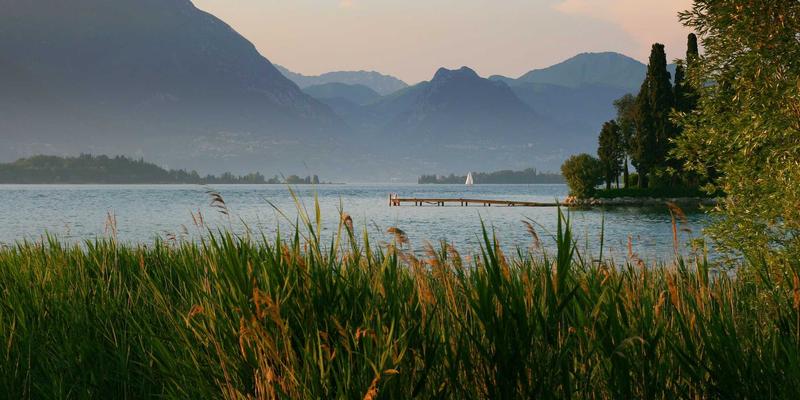 Allen Almonds：从一颗坚果到健康饮食的全球革命