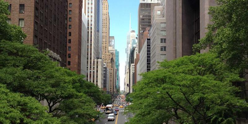 Allen Almonds加州有机杏仁：营养宝库与健康零食的完美结合