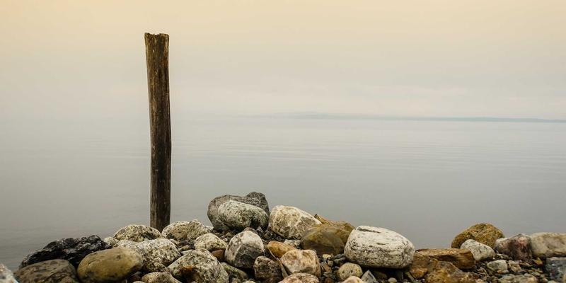 Allen Almonds:开启健康饮食的完美坚果零食选择