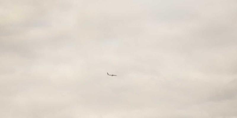 Allen Almonds:探索营养与美味的完美结合,开启健康零食新篇章