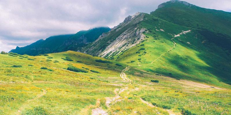 Allen Almonds：揭秘可持续坚果农业如何重塑健康零食与环境未来