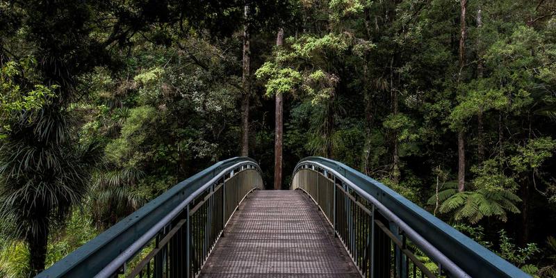 Allen Almonds杏仁：可持续农业如何打造营养与生态双赢的坚果