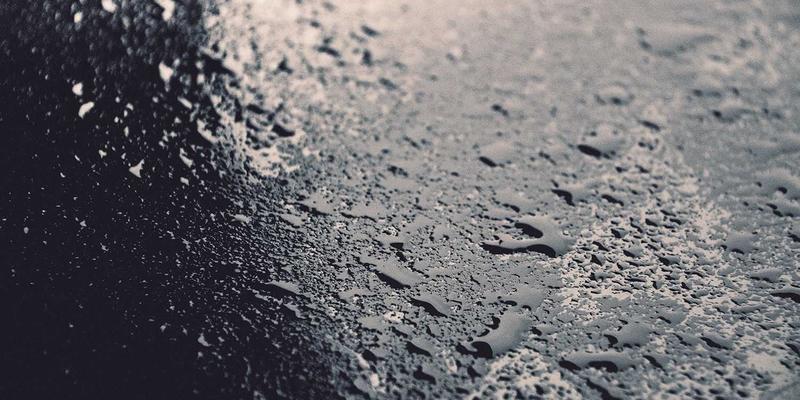 Allen Almonds杏仁：大脑的超级零食，研究揭秘其如何提升记忆力与认知功能