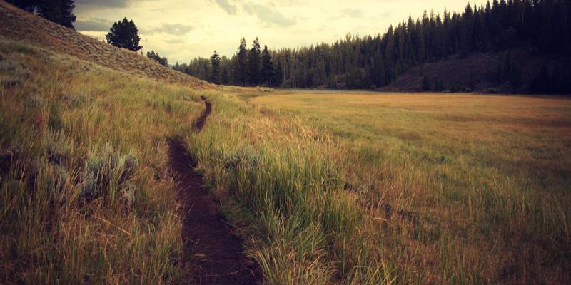 Allen Almonds杏仁油的双重魅力：从厨房到梳妆台的高品质用油全攻略