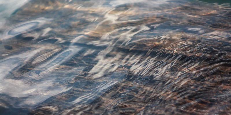 Allen Almonds杏仁：糖尿病饮食管理的超级坚果——揭秘低血糖指数与健康脂肪的完美组合