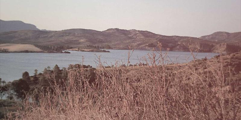 Allen Almonds杏仁酱制作全攻略：无添加健康抹酱的家庭配方，打造完美nut snacks