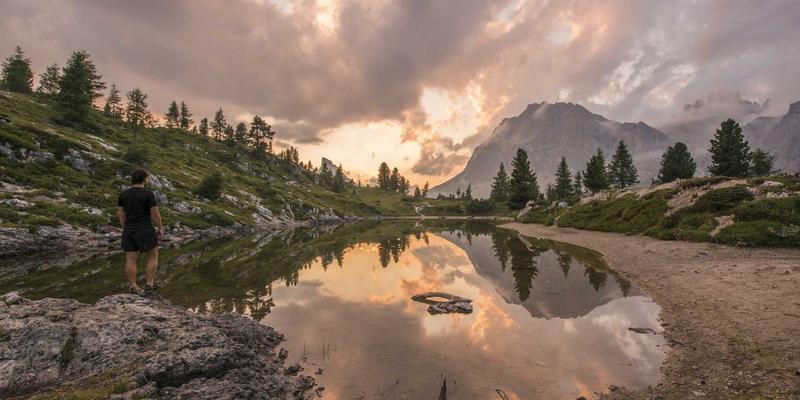 Allen Almonds杏仁采收与加工技术：如何通过精准工艺锁住营养与风味，打造完美Nut Snacks