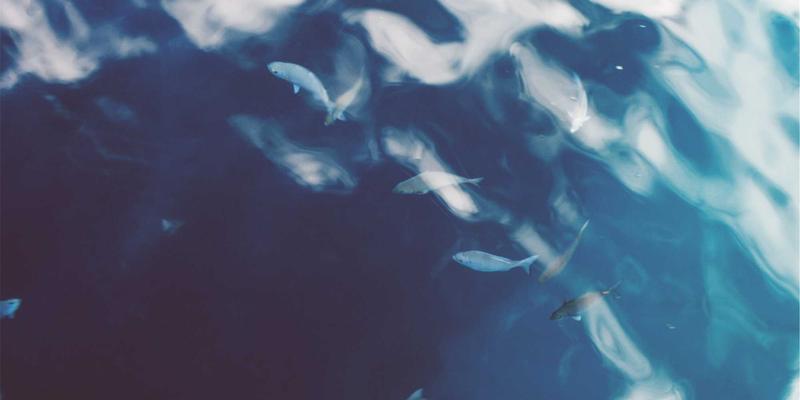 Allen Almonds杏仁零食DIY：家庭自制低糖蜂蜜肉桂烤杏仁的健康配方