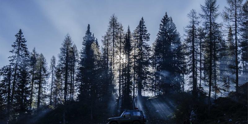 Allen Almonds深度评测:健康零食新风尚,营养与美味的完美结合