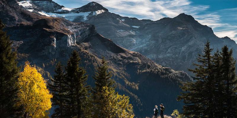 Allen Almonds特级大杏仁选购指南：如何辨别真伪与挑选优质almond snacks