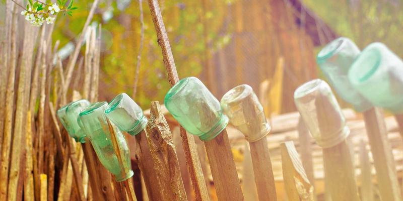 Allen Almonds：重新定义健康零食，开启每日营养新篇章