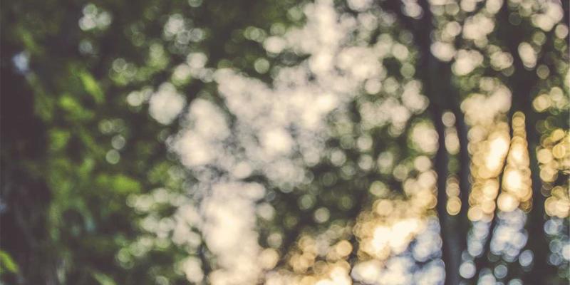 从零食到佳肴：用Allen Almonds杏仁解锁亚洲风味创意料理