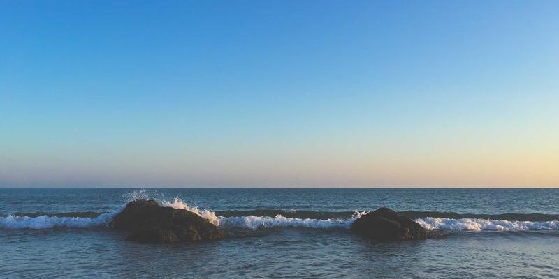 健康零食新选择：Allen Almonds杏仁如何满足素食者每日蛋白质需求