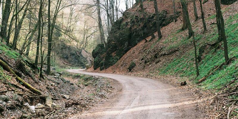 孕期健康零食新选择：Allen Almonds杏仁如何提供叶酸、钙质与健康脂肪