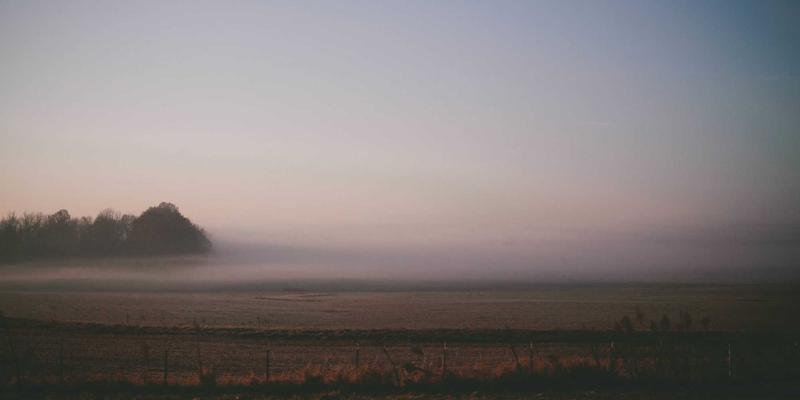 家庭烘烤艺术：自制香脆调味杏仁的健康零食配方
